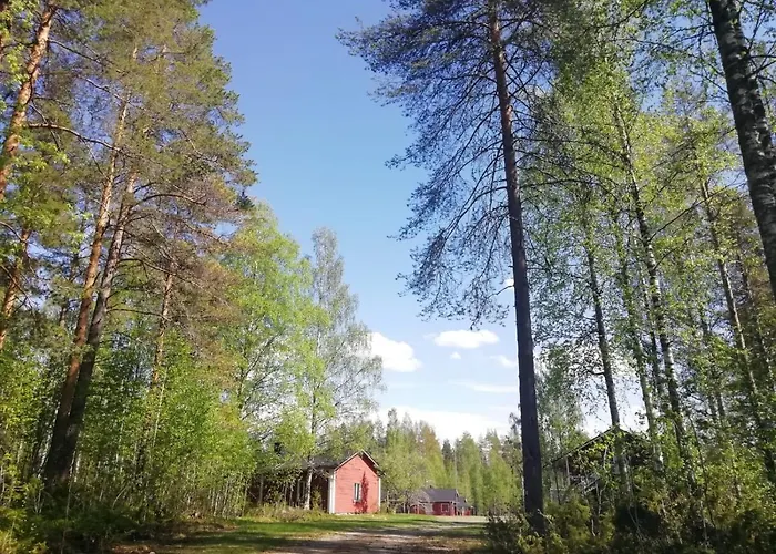 Resort Old Pine Husky