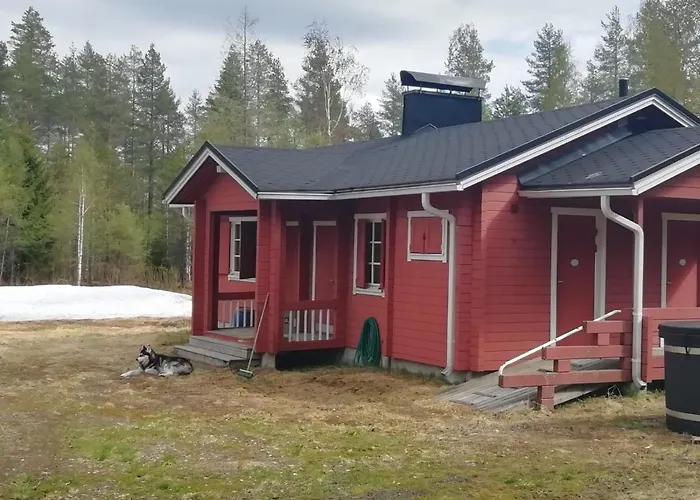 Old Pine Husky Sompujarvi